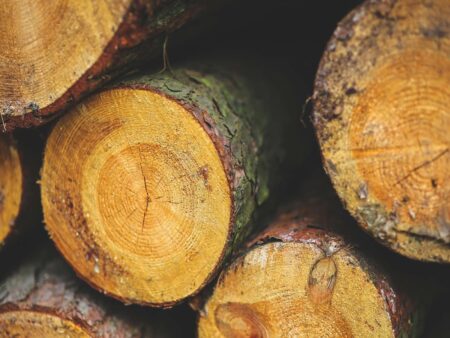 Биологическое разнообразие и древесина