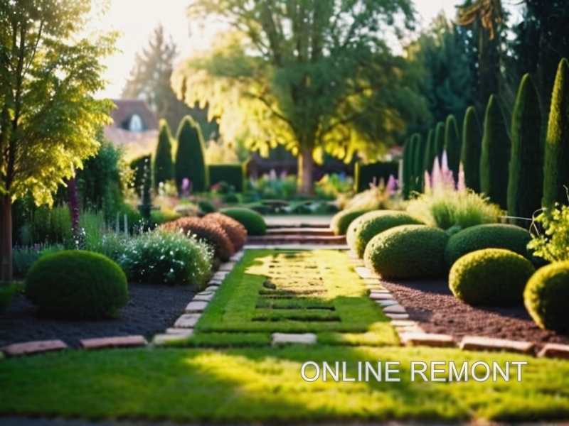 Подготовка почвы и создание контуров рисунка