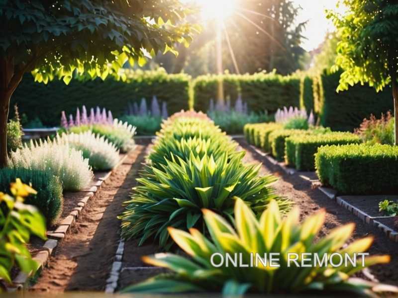 Ошибки при посадке декоративных трав и как их избежать