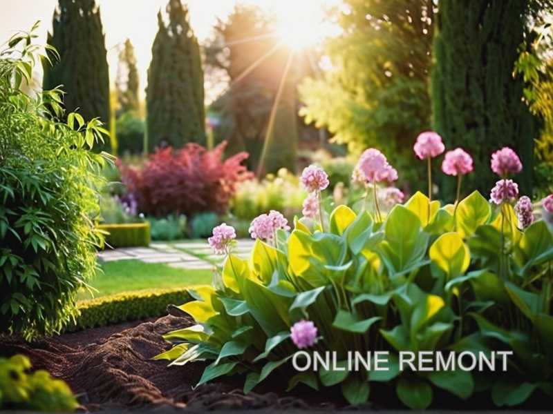 Создание композиции: размещение крупных и мелких камней