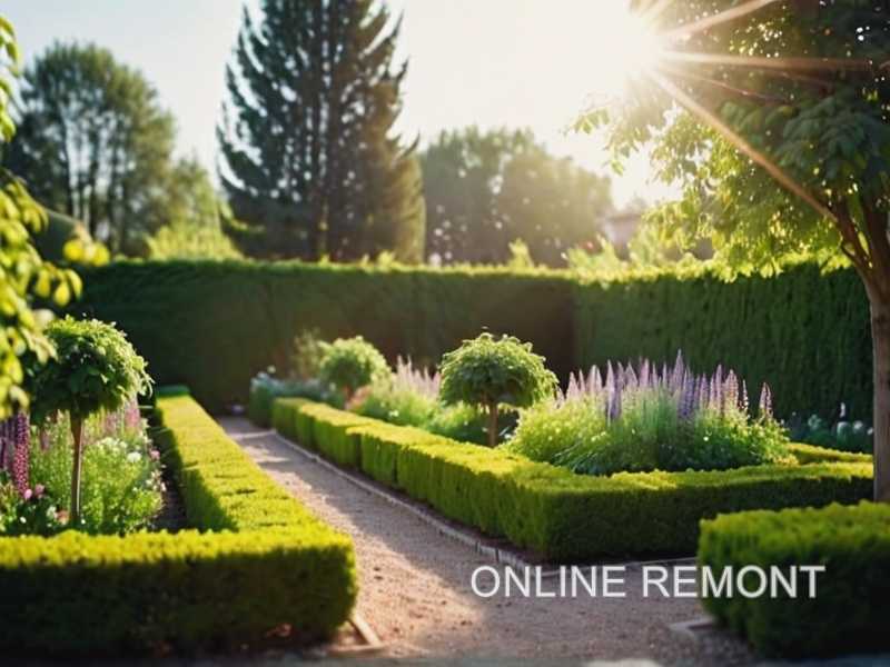 Полив миксбордера